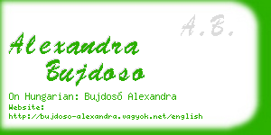 alexandra bujdoso business card