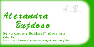 alexandra bujdoso business card